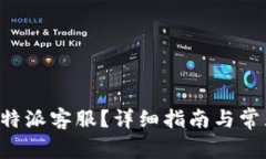 如何找到B特派客服？详细指南与常见问题解答