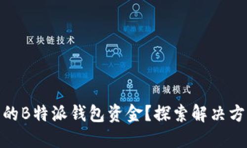 如何追回被盗的B特派钱包资金？探索解决方案与预防措施