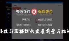 金融科技与区块链的发展前景与挑战分析
