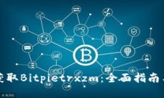 如何获取Bitpietrxzm：全面指南与技巧