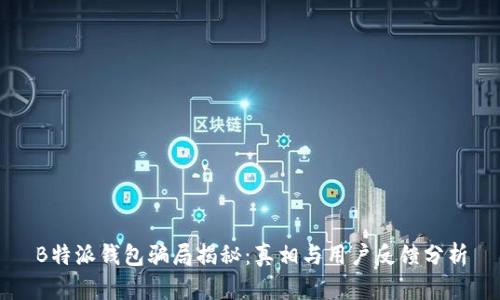 B特派钱包骗局揭秘：真相与用户反馈分析