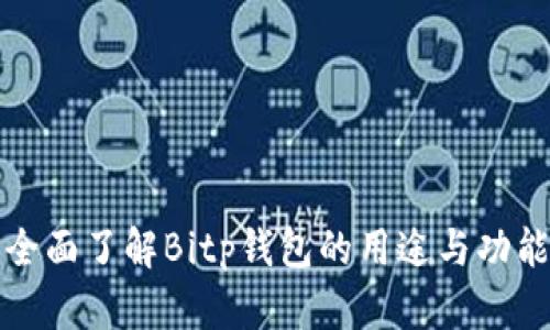全面了解Bitp钱包的用途与功能
