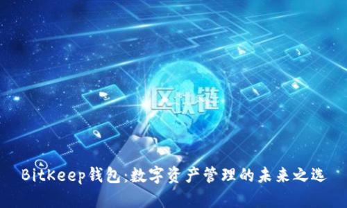 BitKeep钱包：数字资产管理的未来之选