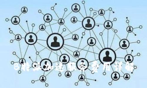 B特派加速服务费用详解