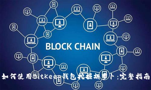 如何使用BitKeep钱包挖掘胡萝卜：完整指南