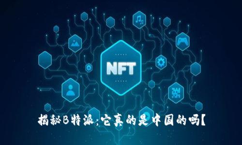 揭秘B特派：它真的是中国的吗？