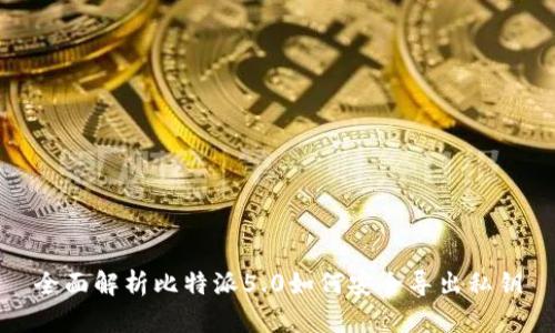 全面解析比特派5.0如何安全导出私钥