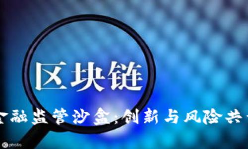区块链金融监管沙盒：创新与风险共舞的未来