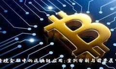 跨境金融中的区块链应用：案例分析与前景展望
