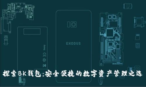 探索BK钱包：安全便捷的数字资产管理之选
