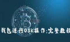 如何使用Bk钱包进行OSK操作：完整教程与技巧分享