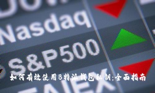 如何有效使用B特派钱包私钥：全面指南