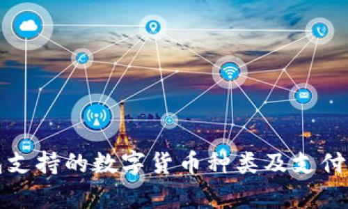 BitP钱包支持的数字货币种类及支付功能解析