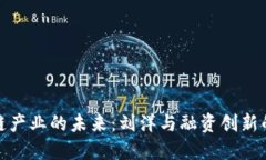 探索区块链产业的未来：刘洋与融资创新的深度