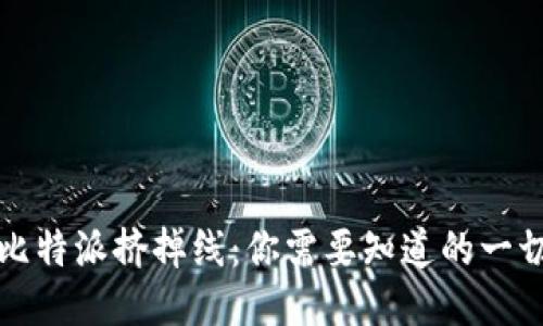 比特派挤掉线：你需要知道的一切