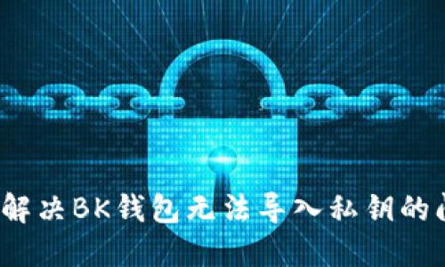 如何解决BK钱包无法导入私钥的问题？