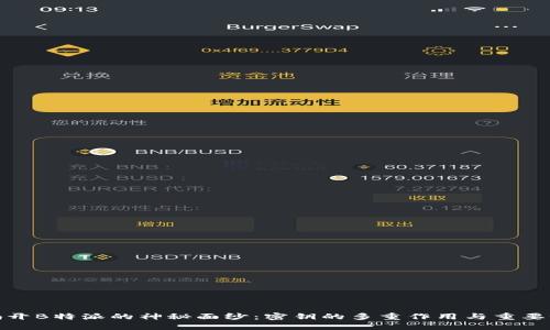 揭开B特派的神秘面纱：密钥的多重作用与重要性