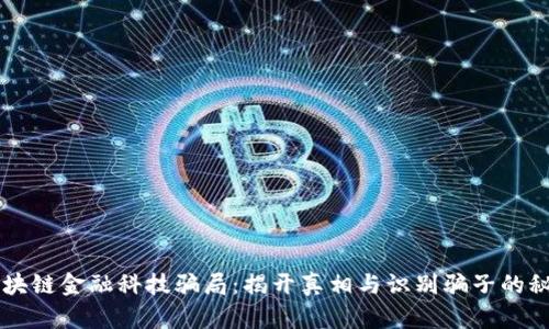 区块链金融科技骗局：揭开真相与识别骗子的秘籍