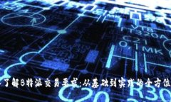 深入了解B特派交易要求：从基础到实践的全方位