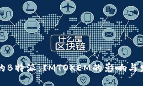 热潮中的B特派：IMTOKEM的影响与发展趋势