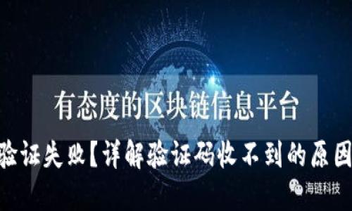 比特派KYC验证失败？详解验证码收不到的原因及解决方法