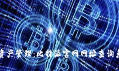 畅享数字资产管理：比特派官网网址查询系统全