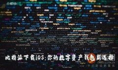 比特派下载iOS：你的数字资产钱包新选择