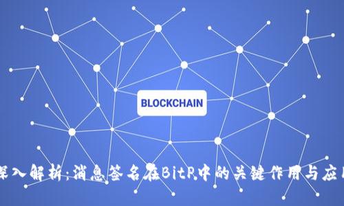 深入解析：消息签名在BitP中的关键作用与应用