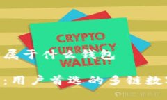 比特派APP属于什么钱包比特派APP：用户首选的多