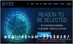 如何在BitP中导入私钥：一步步引导新手用户
