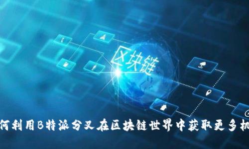 如何利用B特派分叉在区块链世界中获取更多机会