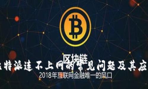 解决比特派连不上网的常见问题及其应对方法