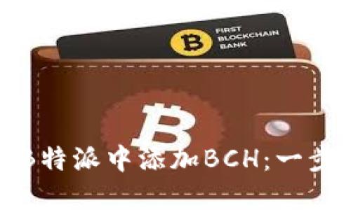 如何在B特派中添加BCH：一步步详解