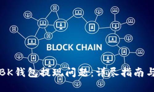 如何解决BK钱包提现问题：详尽指南与用户分享