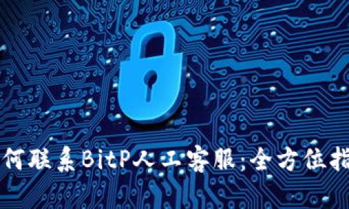 如何联系BitP人工客服：全方位指南