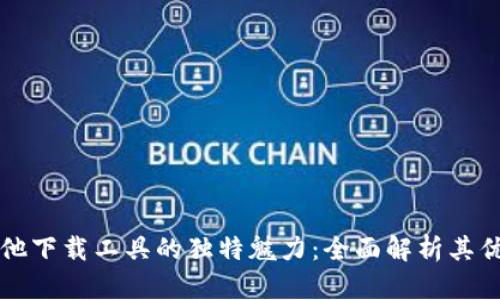 BitP与其他下载工具的独特魅力：全面解析其优势与应用