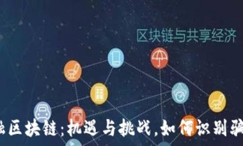   
金融区块链：机遇与挑战，如何识别骗局？