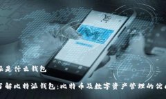 比特派是什么钱包深入了解比特派钱包：比特币