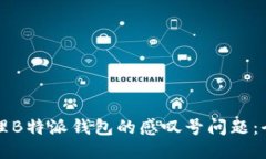 如何处理B特派钱包的感叹号问题：全面指南