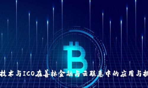 区块链技术与ICO在善林金融与云联惠中的应用与挑战分析