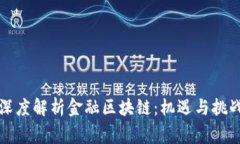 山鹰老师深度解析金融区块链：机遇与挑战的全