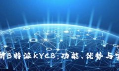 全面解析B特派KYCB：功能、优势与实用指南