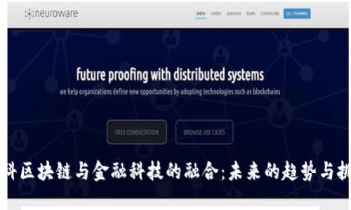 商科区块链与金融科技的融合：未来的趋势与挑战