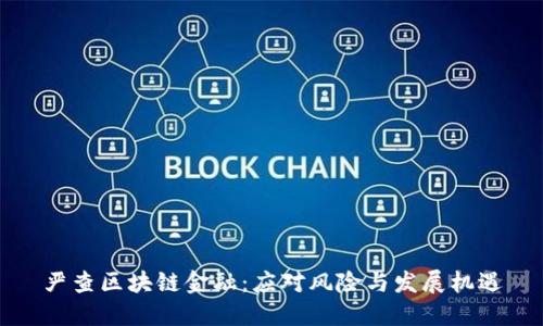 严查区块链金融：应对风险与发展机遇