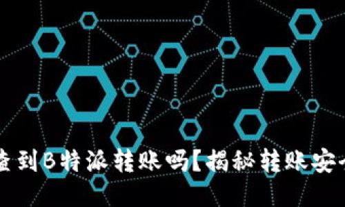 公安能查到B特派转账吗？揭秘转账安全与隐私