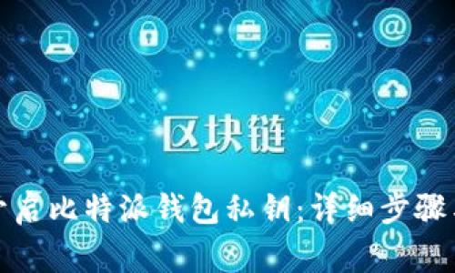 如何安全开启比特派钱包私钥：详细步骤与注意事项