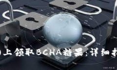 如何在比特派(BIP)上领取BCHA糖果：详细指南与常