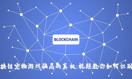 揭开区块链宠物游戏骗局的真相：视频教你如何识别与防范