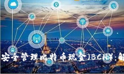 比特派钱包如何安全管理比特币现金（BCH）：解决无BCH的问题