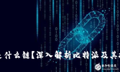 比特派是什么链？深入解析比特派及其技术架构
